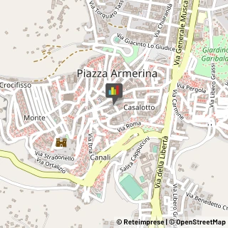 Patologie Varie - Medici Specialisti Piazza Armerina,94015Enna