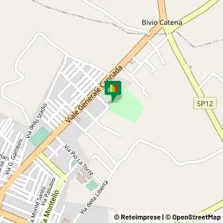 Viale Parco Comunale, 14,94012Barrafranca