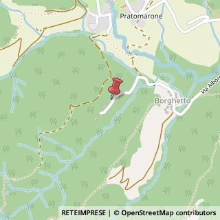 Mappa Via Alborghetto, 30/B, 24030 Palazzago, Bergamo (Lombardia)