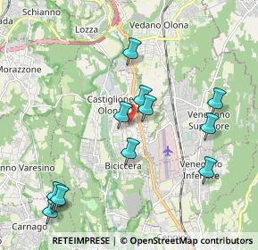 Mappa Via Alcide De Gasperi, 21043 Castiglione Olona VA, Italia (2.17417)