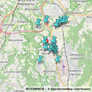 Mappa Via Milani Benedetto, 21043 Castiglione Olona VA, Italia (1.46278)
