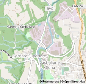 Mappa Via pompeo e silvio mazzucchelli, 21043 Castiglione Olona VA, Italia (0.25833)