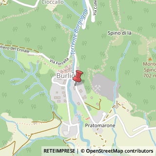 Mappa Via burligo 33, 24030 Palazzago, Bergamo (Lombardia)