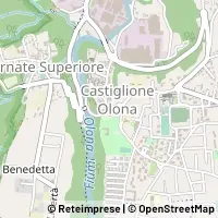 Map Castiglione Olona