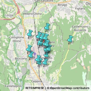 Mappa Via Giuseppe Garibaldi, 21040 Venegono Superiore VA, Italia (1.169)