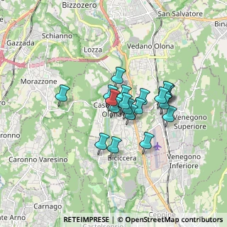 Mappa Via Guglielmo Marconi, 21043 Castiglione Olona VA, Italia (1.184)