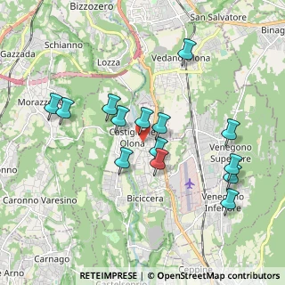 Mappa Via Giuseppe Verdi, 21043 Castiglione Olona VA, Italia (1.81143)