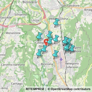 Mappa Via Giuseppe Verdi, 21043 Castiglione Olona VA, Italia (1.39)