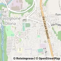 Hartă Castiglione Olona