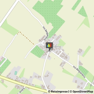 Mangimi e Foraggi Treviso,31050Treviso