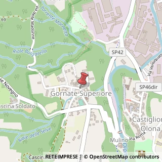 Mappa Via delle Madonne, 1, 21043 Castiglione Olona, Varese (Lombardia)