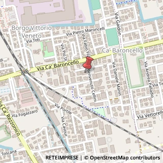 Mappa Via B. Cellini, 14, 36061 Bassano del Grappa, Vicenza (Veneto)