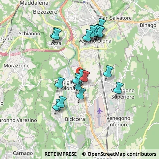 Mappa Via Ludovico Castiglioni, 21043 Castiglione Olona VA, Italia (1.767)