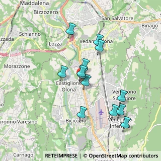 Mappa Via Ludovico Castiglioni, 21043 Castiglione Olona VA, Italia (1.66538)