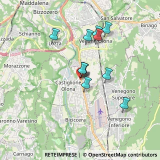 Mappa Via Ludovico Castiglioni, 21043 Castiglione Olona VA, Italia (1.48455)