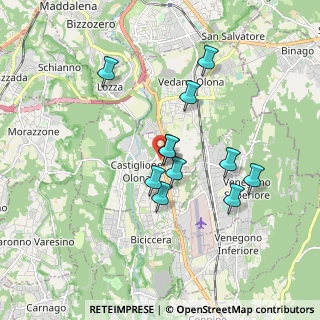 Mappa Via Ludovico Castiglioni, 21043 Castiglione Olona VA, Italia (1.51182)