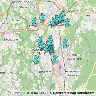 Mappa Via Ludovico Castiglioni, 21043 Castiglione Olona VA, Italia (1.436)