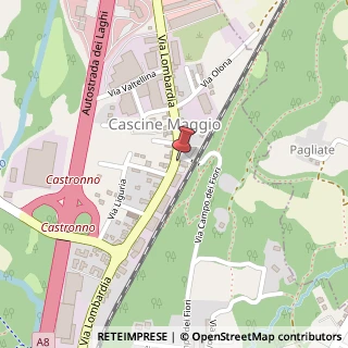 Mappa Via Lombardia, 34, 21040 Castronno, Varese (Lombardia)