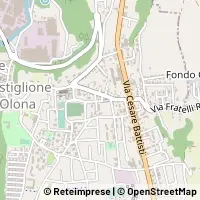 Map Castiglione Olona