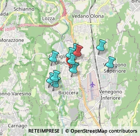 Mappa Via IV Novembre, 21043 Castiglione Olona VA, Italia (1.03)