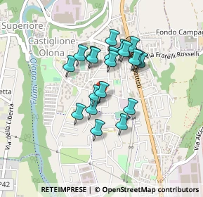 Mappa Via IV Novembre, 21043 Castiglione Olona VA, Italia (0.335)