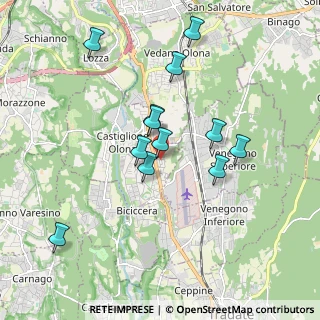 Mappa Via Isonzo, 21043 Castiglione Olona VA, Italia (1.675)