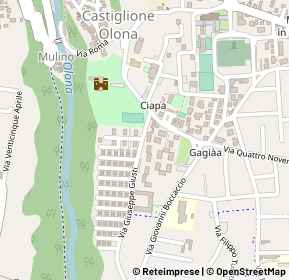 Mappa Via giuseppe giusti, 21043 Castiglione Olona VA, Italia (0.20385)
