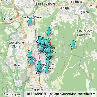 Mappa Piazza S. Maria, 21040 Venegono Superiore VA, Italia (1.4265)