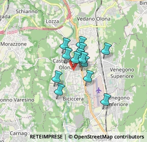 Mappa 21043 Castiglione Olona VA, Italia (1.01)