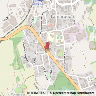 Mappa Via Statale, 3, 22045 Lambrugo, Como (Lombardia)