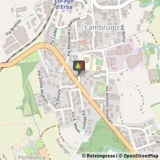 Parrucchieri,22045Como