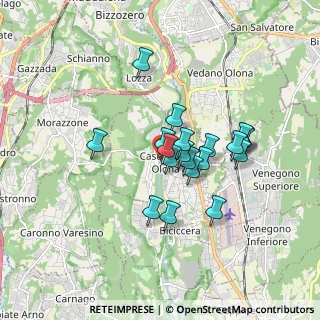 Mappa Via Nicolao, 21043 Castiglione Olona VA, Italia (1.338)