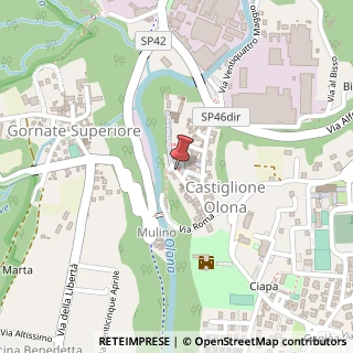 Mappa Via Cardinal Castiglioni Branda,  11, 21043 Castiglione Olona, Varese (Lombardia)