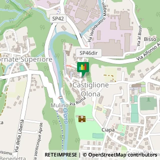 Via Giuseppe Mazzini, 26,21043Castiglione Olona