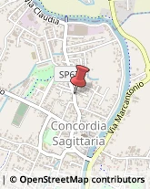 Via Claudia, 84/A,30023Concordia Sagittaria