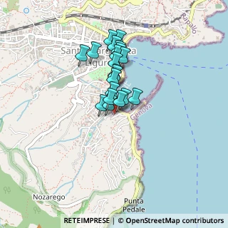Mappa Via Privata Domizio Costa, 16038 Santa Margherita Ligure GE, Italia (0.3225)