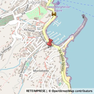 Mappa Via costa isabella 8/a, 16038 Santa Margherita Ligure, Genova (Liguria)