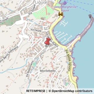 Mappa Via Anton Maria Maragliano, 45, 16038 Santa Margherita Ligure, Genova (Liguria)