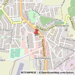 Mappa Via Minelli Giuseppe, 7, 41026 Pavullo nel Frignano, Modena (Emilia Romagna)