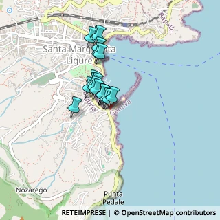 Mappa Viale Ammiraglio Canevaro, 16038 Santa Margherita Ligure GE, Italia (0.2915)