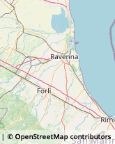 Ottica, Occhiali e Lenti a Contatto - Dettaglio Cervia,48015Ravenna