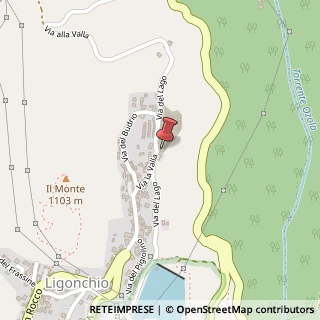 Mappa Via del Lago, 5, 42039 Ligonchio, Reggio nell'Emilia (Emilia Romagna)