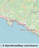 Sartorie Cicagna,16044Genova