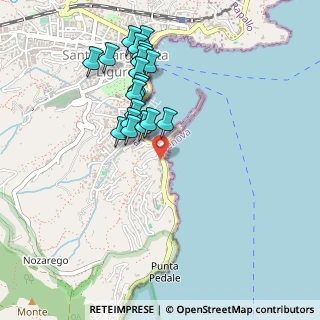 Mappa Via Milite Ignoto, 16038 Santa Margherita Ligure GE, Italia (0.4655)