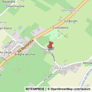 Mappa Via Belfiore, 2, 40026 Imola, Bologna (Emilia Romagna)