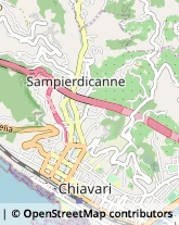 Via Aldo Gastaldi, 37,16043Chiavari