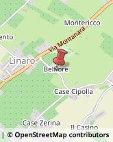 Via Belfiore, 2,40026Imola