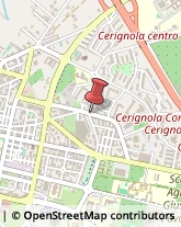 Via San Ferdinando di Puglia, 60,71042Cerignola