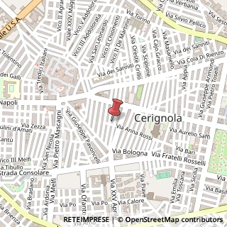 Mappa Via S. Maria del Rosario, 28, 71042 Cerignola, Foggia (Puglia)