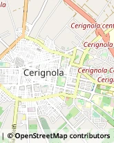 Infermieri ed Assistenza Domiciliare Cerignola,71042Foggia